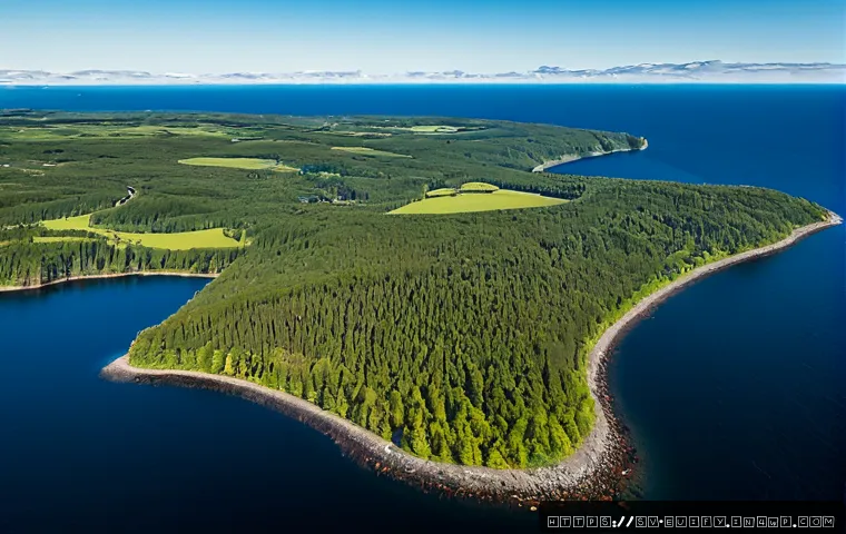 Lär dig mer på kort tid: strategi, verktyg och val som ger mest effekt 4 짧은 기간 내 학습 효과를 극대화하는 전략 관련 이미지 2